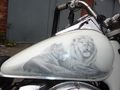 Honda VT750C2 Shadow 